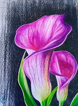 Image result for Soft Pastel Flower Drawings
