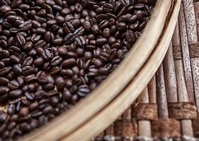 Image result for Civet Coffee