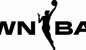Image result for Basketball Logo Brand