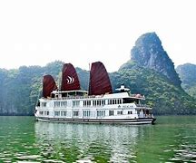 Image result for Pelican Cruise