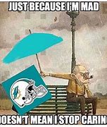 Image result for Miami Dolphins NFL Memes