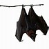 Image result for Sleeping Bat Shape