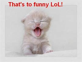 Image result for Too Funny