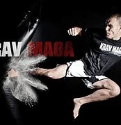 Image result for Krav Maga Styles