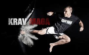 Image result for Is Krav Maga the deadliest martial art?