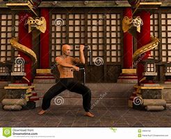 Image result for Kung Fu Warrior Art