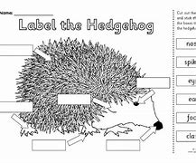 Image result for Hedgehog Worksheets