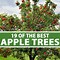 Image result for All Apple Varieties