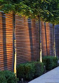 Image result for Yard Privacy Fence Ideas