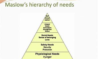 Image result for Indigenous Hierarchy of Needs