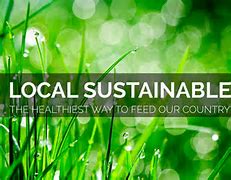 Image result for Local Sustainable