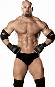 Image result for Wrestler Stance