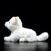 Image result for White Cat Stuffed Animal