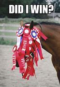 Image result for Funny Horse Blinders