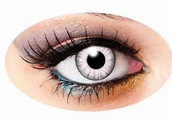 Image result for 1 Day Contact Lenses