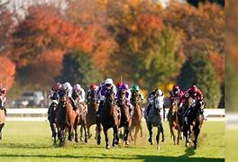 Image result for Us Horse Racing Print the Winner 88
