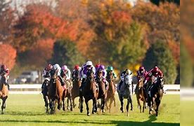 Image result for Us Horse Racing Print the Winner 88