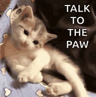 Image result for Interesting Cat Meme