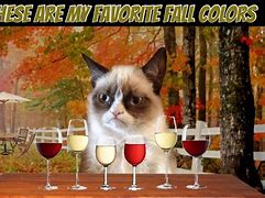 Image result for Grumpy Cat in Autumn