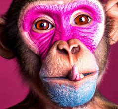 Image result for Monkey Makeup