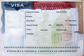 Image result for Visa Pic