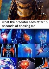 Image result for Funny Predator Memes
