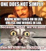 Image result for Lab Work Meme