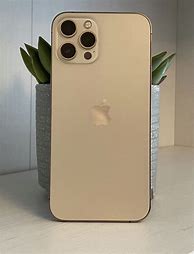 Image result for iPhone 12 Gold Colour