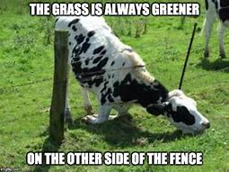 Image result for Grass Is Greener Meme