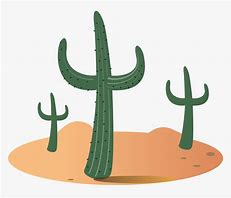 Image result for Arizona Cactus Clip Art