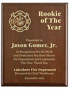 Image result for Rookie of the Year Award