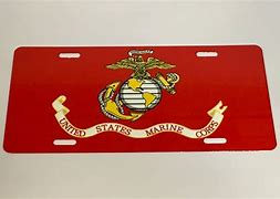 Image result for Us Marine Corps Plate Carrier