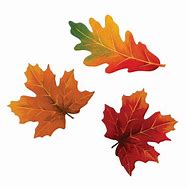 Image result for Autumn Leaves Cut Out
