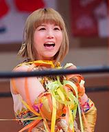 Image result for Professional Wrestling in Japan