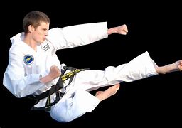 Image result for Every Type of Martial Art