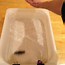Image result for Water-Resistant Tissue Paper