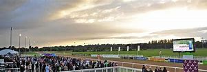 Image result for Wolverhampton All Weather Racing