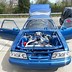 Image result for Mustang Drag Car