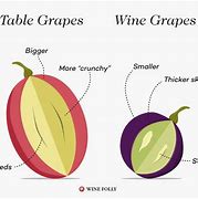 Image result for Grape Size