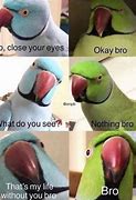 Image result for Baby Will You Close My Eyes Meme