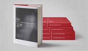 Image result for Creative Book Cover Designs