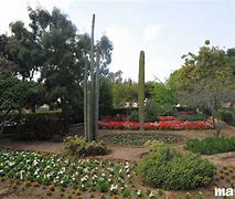 Image result for Argotti Botanic Gardens