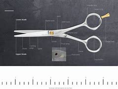 Image result for Pivot Point On Scissors