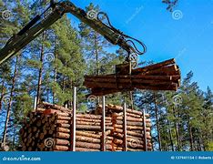 Image result for Log Lifting Hook