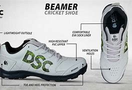 Image result for DSC Cricket Shoes