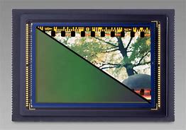 Image result for Epson Film Scanner