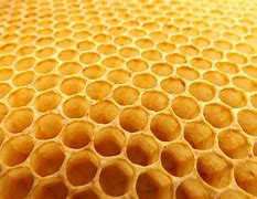 Image result for Local Honeycomb