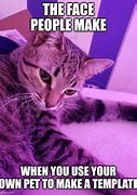 Image result for Professional Cat Meme