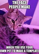 Image result for Poco Loco Cat Meme