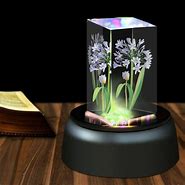 Image result for Crystal Figurine Display Light